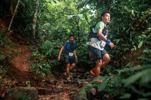 BIB: 
                            <button type="button" onclick="openModal(24857869)" class="btn btn-primary btn-sm float-right btn-popup" data-toggle="modal" data-target=".modal-high-quality">
                        <i class="fas fa-shopping-cart"></i> Add to Cart
                    </button>
                                            <button type="button" onclick="isThisMe(24857869, true)" class="btn btn-success btn-sm float-right btn-popup btn-isme hidden" data-toggle="tooltip" data-placement="bottom" title="นี่คือรูปของคุณใช่ไหม คลิกที่นี่เพื่อเอาเข้าอัลบั้ม">
                        <i class="fas fa-plus"></i> Add to album
                    </button>
                    <button type="button" onclick="isThisMe(24857869, false)" class="btn btn-warning btn-sm float-right btn-popup btn-isnotme hidden">
                        <i class="fas fa-ban"></i> Remove from album
                    </button>